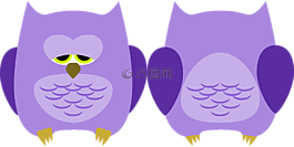 貓頭鷹,鳥(niǎo),動(dòng)物