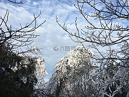 雪,山,樹