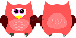 貓頭鷹,鳥,動(dòng)物