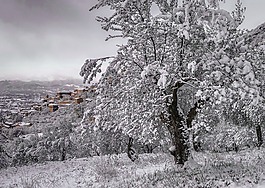 雪,冬天,意大利