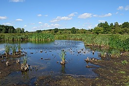 性質(zhì),河,沼澤