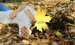 枫,秋天,叶