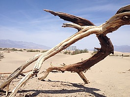 性質(zhì),沙漠,砂