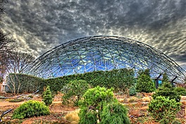 climatron,植物园,密苏里州