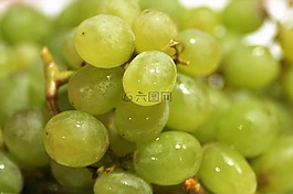 葡萄,新鮮,水果