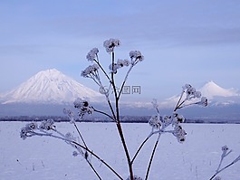 冬季,雪,弗羅斯特