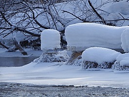 冬季,雪,弗羅斯特