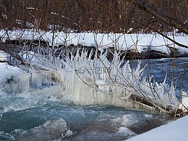 冬季,雪,弗羅斯特