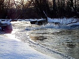 冬季,雪,弗羅斯特