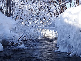 冬季,雪,弗羅斯特