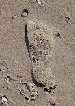 沙,海灘,占地面積