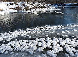 冬季,雪,弗羅斯特