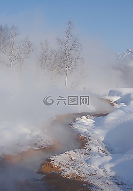 冬季,雪,弗羅斯特