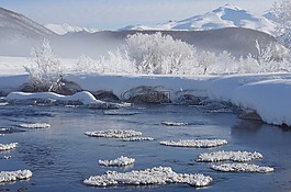 冬季,雪,弗羅斯特