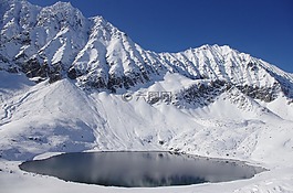 冬季,雪,弗羅斯特