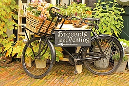 自行車,裝飾,登錄