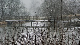雪,景觀,冬天