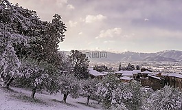 雪,斯佩,意大利