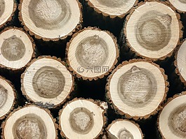 木,日志記錄,holzstapel
