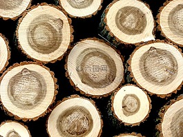 holzstapel,硬木,樹干