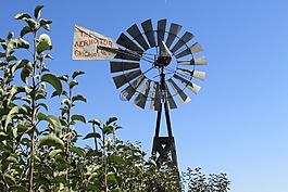 風車,農(nóng)場,農(nóng)村