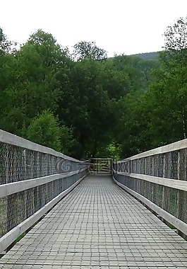 木橋,木板,木