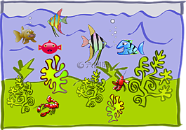 水族館,蟹,魚