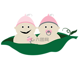 雙胞胎,在一個豆莢里的兩顆豌豆,豌豆