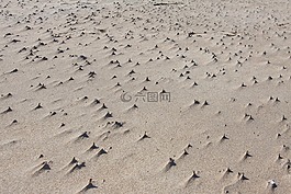 风,沙,海滩