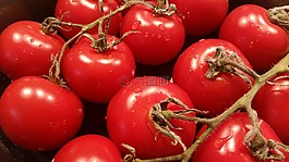 蕃茄,紅色,蔬菜