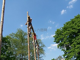 男子,爬上樹,工作