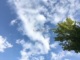 夏天,天空,博覽會