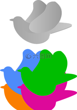 鴿子,鳥,顏色