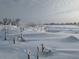 雪,景觀,冷