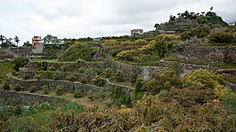 特內(nèi)里費,性質(zhì),火山
