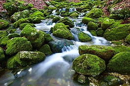 源,水,洪流