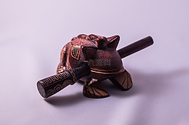 木,青蛙,泰國
