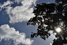 天空,自然,太陽