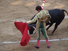 何塞 · 托馬斯,斗牛,公牛隊