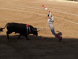banderillero,斗牛,騎