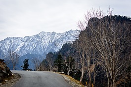 景觀,山,山峰