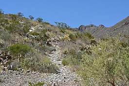 景觀,沙漠,山