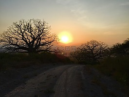 日落,夕陽,騎自行車