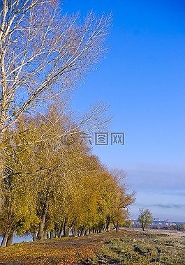 路,村,秋季