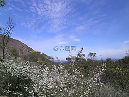 戶外,自然,澳大利亞