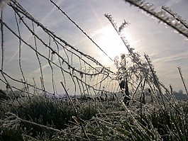 冰,冬天,籬笆