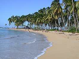 度假海邊,大西洋,多米尼加共和國(guó)