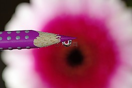 滴,開花,關(guān)閉