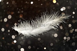 春天,白,略