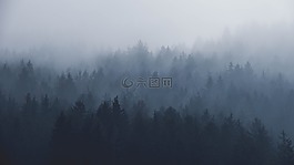 雾,大自然,天空
